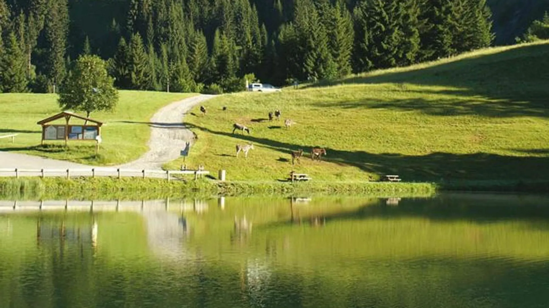 Apartment With One Bedroom In Morzine, With Balcony And Wifi - 700 M F